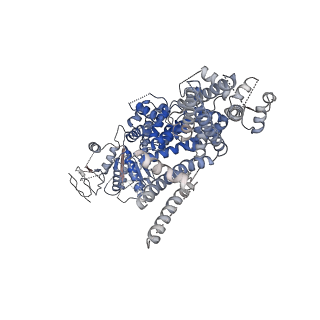 0489_6nr4_C_v1-3
Cryo-EM structure of the TRPM8 ion channel with low occupancy icilin, PI(4,5)P2, and calcium