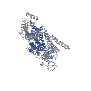 0489_6nr4_D_v1-3
Cryo-EM structure of the TRPM8 ion channel with low occupancy icilin, PI(4,5)P2, and calcium