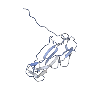 0497_6nrv_A_v1-3
Cryo-EM reconstruction of CFA/I pili