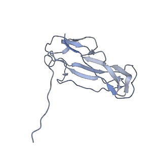 0497_6nrv_B_v1-3
Cryo-EM reconstruction of CFA/I pili