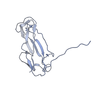 0497_6nrv_C_v1-3
Cryo-EM reconstruction of CFA/I pili