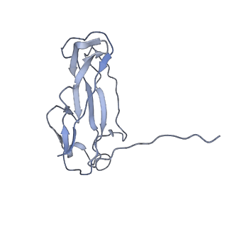 0497_6nrv_D_v1-3
Cryo-EM reconstruction of CFA/I pili