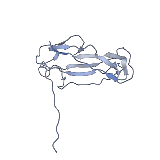 0497_6nrv_E_v1-3
Cryo-EM reconstruction of CFA/I pili