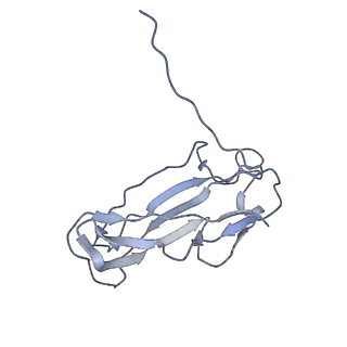 0497_6nrv_F_v1-3
Cryo-EM reconstruction of CFA/I pili