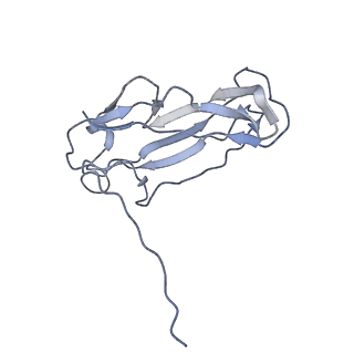 0497_6nrv_K_v1-3
Cryo-EM reconstruction of CFA/I pili