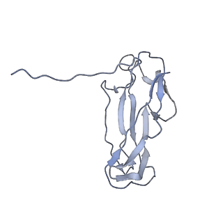 0497_6nrv_M_v1-3
Cryo-EM reconstruction of CFA/I pili