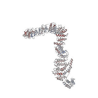 12534_7nrc_A_v1-0
Structure of the yeast Gcn1 bound to a leading stalled 80S ribosome with Rbg2, Gir2, A- and P-tRNA and eIF5A