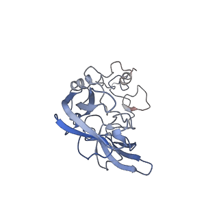 12534_7nrc_LD_v1-0
Structure of the yeast Gcn1 bound to a leading stalled 80S ribosome with Rbg2, Gir2, A- and P-tRNA and eIF5A