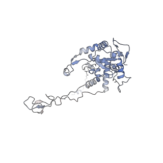 12534_7nrc_LF_v1-0
Structure of the yeast Gcn1 bound to a leading stalled 80S ribosome with Rbg2, Gir2, A- and P-tRNA and eIF5A