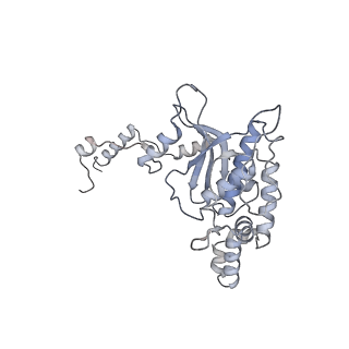 12534_7nrc_LG_v1-0
Structure of the yeast Gcn1 bound to a leading stalled 80S ribosome with Rbg2, Gir2, A- and P-tRNA and eIF5A