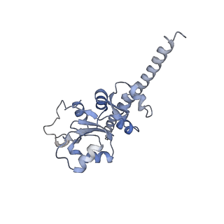 12534_7nrc_LI_v1-0
Structure of the yeast Gcn1 bound to a leading stalled 80S ribosome with Rbg2, Gir2, A- and P-tRNA and eIF5A