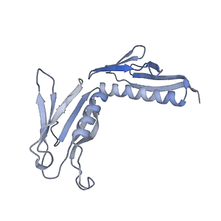 12534_7nrc_LK_v1-0
Structure of the yeast Gcn1 bound to a leading stalled 80S ribosome with Rbg2, Gir2, A- and P-tRNA and eIF5A