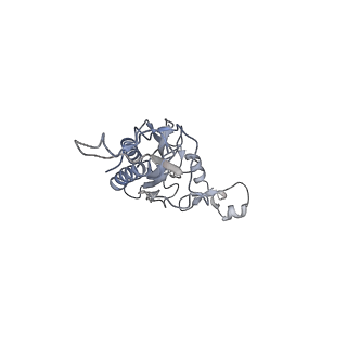 12534_7nrc_LL_v1-0
Structure of the yeast Gcn1 bound to a leading stalled 80S ribosome with Rbg2, Gir2, A- and P-tRNA and eIF5A
