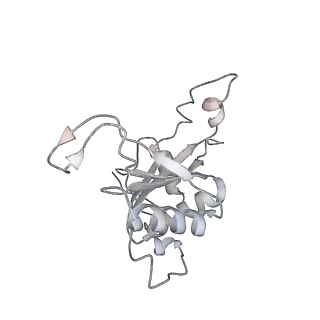 12534_7nrc_LM_v1-0
Structure of the yeast Gcn1 bound to a leading stalled 80S ribosome with Rbg2, Gir2, A- and P-tRNA and eIF5A