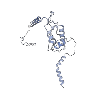 12534_7nrc_LN_v1-0
Structure of the yeast Gcn1 bound to a leading stalled 80S ribosome with Rbg2, Gir2, A- and P-tRNA and eIF5A