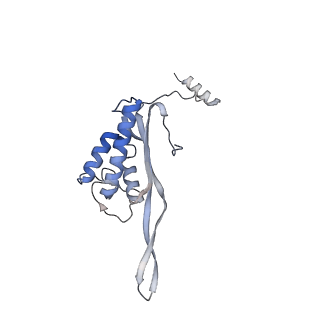 12534_7nrc_LR_v1-0
Structure of the yeast Gcn1 bound to a leading stalled 80S ribosome with Rbg2, Gir2, A- and P-tRNA and eIF5A