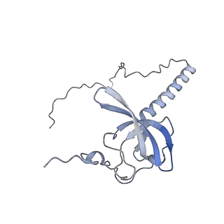 12534_7nrc_LV_v1-0
Structure of the yeast Gcn1 bound to a leading stalled 80S ribosome with Rbg2, Gir2, A- and P-tRNA and eIF5A