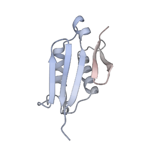12534_7nrc_LW_v1-0
Structure of the yeast Gcn1 bound to a leading stalled 80S ribosome with Rbg2, Gir2, A- and P-tRNA and eIF5A