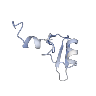 12534_7nrc_LY_v1-0
Structure of the yeast Gcn1 bound to a leading stalled 80S ribosome with Rbg2, Gir2, A- and P-tRNA and eIF5A