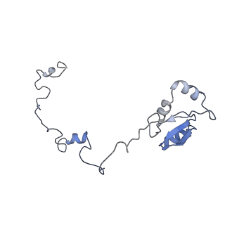 12534_7nrc_Lc_v1-0
Structure of the yeast Gcn1 bound to a leading stalled 80S ribosome with Rbg2, Gir2, A- and P-tRNA and eIF5A