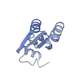 12534_7nrc_Le_v1-0
Structure of the yeast Gcn1 bound to a leading stalled 80S ribosome with Rbg2, Gir2, A- and P-tRNA and eIF5A