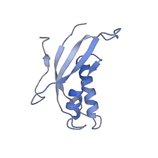 12534_7nrc_Lf_v1-0
Structure of the yeast Gcn1 bound to a leading stalled 80S ribosome with Rbg2, Gir2, A- and P-tRNA and eIF5A