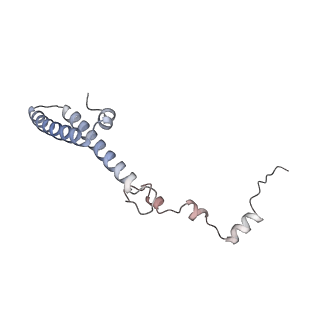 12534_7nrc_Lj_v1-0
Structure of the yeast Gcn1 bound to a leading stalled 80S ribosome with Rbg2, Gir2, A- and P-tRNA and eIF5A