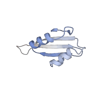 12534_7nrc_Lm_v1-0
Structure of the yeast Gcn1 bound to a leading stalled 80S ribosome with Rbg2, Gir2, A- and P-tRNA and eIF5A