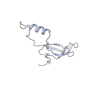 12534_7nrc_Lq_v1-0
Structure of the yeast Gcn1 bound to a leading stalled 80S ribosome with Rbg2, Gir2, A- and P-tRNA and eIF5A