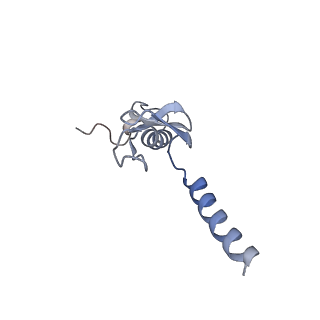 12534_7nrc_Lr_v1-0
Structure of the yeast Gcn1 bound to a leading stalled 80S ribosome with Rbg2, Gir2, A- and P-tRNA and eIF5A