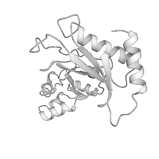 12534_7nrc_Lt_v1-0
Structure of the yeast Gcn1 bound to a leading stalled 80S ribosome with Rbg2, Gir2, A- and P-tRNA and eIF5A