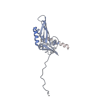 12534_7nrc_SA_v1-0
Structure of the yeast Gcn1 bound to a leading stalled 80S ribosome with Rbg2, Gir2, A- and P-tRNA and eIF5A