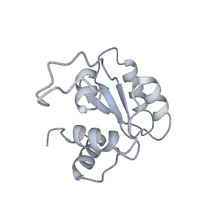12534_7nrc_SD_v1-0
Structure of the yeast Gcn1 bound to a leading stalled 80S ribosome with Rbg2, Gir2, A- and P-tRNA and eIF5A