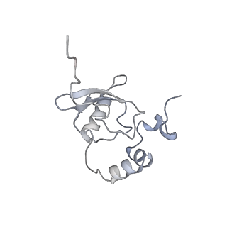 12534_7nrc_SE_v1-0
Structure of the yeast Gcn1 bound to a leading stalled 80S ribosome with Rbg2, Gir2, A- and P-tRNA and eIF5A
