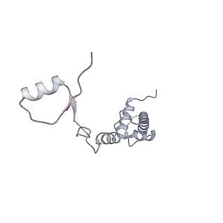 12534_7nrc_SG_v1-0
Structure of the yeast Gcn1 bound to a leading stalled 80S ribosome with Rbg2, Gir2, A- and P-tRNA and eIF5A