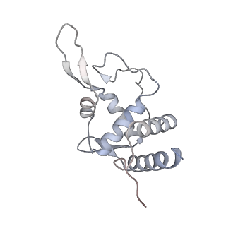 12534_7nrc_SI_v1-0
Structure of the yeast Gcn1 bound to a leading stalled 80S ribosome with Rbg2, Gir2, A- and P-tRNA and eIF5A