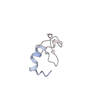 12534_7nrc_SM_v1-0
Structure of the yeast Gcn1 bound to a leading stalled 80S ribosome with Rbg2, Gir2, A- and P-tRNA and eIF5A