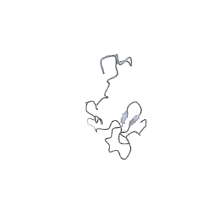 12534_7nrc_SN_v1-0
Structure of the yeast Gcn1 bound to a leading stalled 80S ribosome with Rbg2, Gir2, A- and P-tRNA and eIF5A