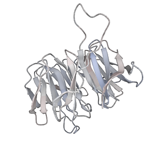 12534_7nrc_SO_v1-0
Structure of the yeast Gcn1 bound to a leading stalled 80S ribosome with Rbg2, Gir2, A- and P-tRNA and eIF5A
