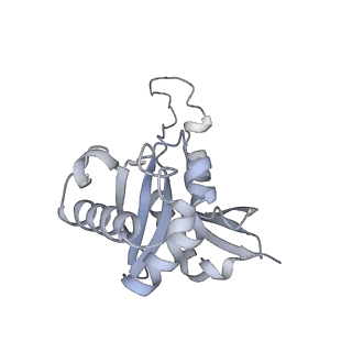 12534_7nrc_SU_v1-0
Structure of the yeast Gcn1 bound to a leading stalled 80S ribosome with Rbg2, Gir2, A- and P-tRNA and eIF5A