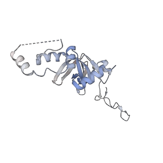 12534_7nrc_SV_v1-0
Structure of the yeast Gcn1 bound to a leading stalled 80S ribosome with Rbg2, Gir2, A- and P-tRNA and eIF5A