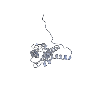 12534_7nrc_SW_v1-0
Structure of the yeast Gcn1 bound to a leading stalled 80S ribosome with Rbg2, Gir2, A- and P-tRNA and eIF5A