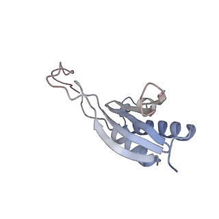 12534_7nrc_SZ_v1-0
Structure of the yeast Gcn1 bound to a leading stalled 80S ribosome with Rbg2, Gir2, A- and P-tRNA and eIF5A