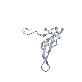12534_7nrc_Sa_v1-0
Structure of the yeast Gcn1 bound to a leading stalled 80S ribosome with Rbg2, Gir2, A- and P-tRNA and eIF5A
