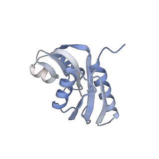 12534_7nrc_Sb_v1-0
Structure of the yeast Gcn1 bound to a leading stalled 80S ribosome with Rbg2, Gir2, A- and P-tRNA and eIF5A