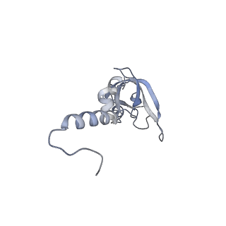 12534_7nrc_Sc_v1-0
Structure of the yeast Gcn1 bound to a leading stalled 80S ribosome with Rbg2, Gir2, A- and P-tRNA and eIF5A