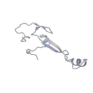 12534_7nrc_Se_v1-0
Structure of the yeast Gcn1 bound to a leading stalled 80S ribosome with Rbg2, Gir2, A- and P-tRNA and eIF5A