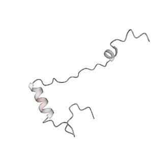 12534_7nrc_Sg_v1-0
Structure of the yeast Gcn1 bound to a leading stalled 80S ribosome with Rbg2, Gir2, A- and P-tRNA and eIF5A
