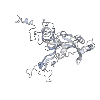 12535_7nrd_LE_v1-0
Structure of the yeast Gcn1 bound to a colliding stalled 80S ribosome with MBF1, A/P-tRNA and P/E-tRNA
