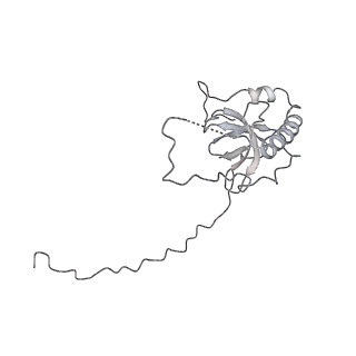 12535_7nrd_LH_v1-0
Structure of the yeast Gcn1 bound to a colliding stalled 80S ribosome with MBF1, A/P-tRNA and P/E-tRNA